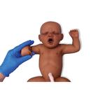 Lifecast Term Baby (dark skin / female), 1024676, ALS Newborn