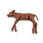 Red Angus Dystocia Calf Model, 1025515, Veterinary Simulation