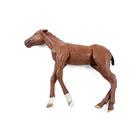 Equine Dystocia Foal, 1025587, Veterinary Simulation