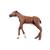 Equine Dystocia Foal, 1025587, Equine Simulators (Small)