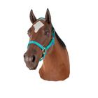 Equine Nasogastric Simulator without Stand, 1025593, Veterinary Simulation