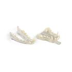 Canine Clear Jaw Set (Maxilla, Mandible), 1025638, Simuladores de caninos