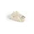 Canine Clear Jaw Set (Maxilla, Mandible), 1025638, Canine Simulators (Small)