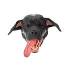 Canine Head - Black, 1025639, Simuladores de caninos