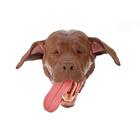 Canine Head - Brown, 1025640, Canine Simulators