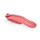 Canine Replaceable Tongue, 1025647, Simulateurs canins