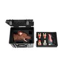 Canine Dental Surgical Package, 1025648, Hundesimulatoren