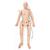 TERi™ Geriatric Patient Care Trainer - Androgynous trainer for general patient care & daily living assistance simulation,  light skin, 1025681, Male Examination (Small)