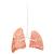 Lungs Damaged, 1025974, TCCC Simulators (Small)