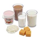 Basic Dairy Food Replica Kit, 3009004, Education alimentaire