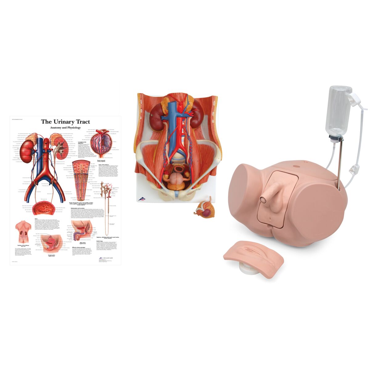 Dual Sex Catheterization Pro Kit 8000892 3011958 Simulation Kits