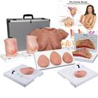 Female Breast Model Lactend From PVC Chest Model for And : :  Health & Personal Care
