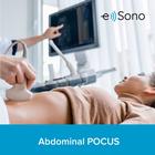 Abdominal POCUS e Sono 1 Benutzer 3 Monate
, 8001269, e Sono Kurse