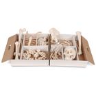 Disarticulated Half Human Skeleton Model, Loosely Articulated Hand & Foot, 1020156 [A04/1], Disarticulated Human Skeleton Models