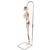 Mini Human Skeleton Shorty with Painted Muscles on Hanging Stand, Half Natural Size, 1000045 [A18/6], Mini Skeleton Models (Small)