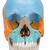 Beauchene Adult Human Skull Model, Didactic Colored Version, 22 part, 1023540 [A291], Human Skull Models (Small)