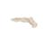 İnsan Ayak Iskeleti, Tel Montajlı - 3B Akıllı Anatomi, 1019355 [A30], Ayak ve bacak iskelet modelleri (Small)