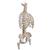 Classic Flexible Human Spine Model with Ribs & Femur Heads, 1000120 [A56/2], Human Spine Models (Small)