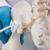 Гибкий женский таз с головками Femur - 3B Smart Anatomy, 1019865 [A62/1], Модели гениталий и таза (Small)