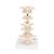 Model of 6 Human Vertebrae, Mounted on Stand (atlas, axis, cervical, 2x thoracic, lumbar), 1000147 [A75], Vertebra Models (Small)