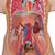 Classic Unisex Human Torso Model with Open Back, 21 part, 1000192 [B17], Human Torso Models (Small)