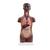 Mini Human Torso Model, 12 part, dark skin, 1024376 [B22D], Human Torso Models (Small)