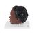 Kopfmodell, 2-teilig dunkle Hautfarbe, 1024378 [B37/1D], Kopfmodelle (Small)