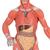 1/3 Life-Size Human Muscle Figure, 2 part, 1000212 [B59], Muscle Models (Small)