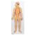 Human Nervous System Model, 1/2 Life-Size, 1000231 [C30], Nervous System Models (Small)