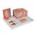 3B MICROanatomy Human Tongue Model, 1000247 [D17], Dental Models (Small)