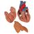 흉선이 있는 심장 모형 Classic Heart with Thymus, 3 part, 1000265 [G08/1], 심장 및 순환기 모형 (Small)