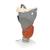 Functional Larynx Model, 2.5 times Full-Size, 1013870 [G20], Ear Models (Small)