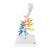 CT Bronchial Tree Model with Larynx, 1000274 [G23], Lung Models (Small)