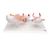 Pregnancy Models Series, 5 Embryo & Fetus Models on a Base, 1018633 [L11/9], Human (Small)