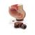 Pregnancy Pelvis Model in Median Section with Removable Fetus (40 weeks), 3 part, dark skin - 3B Smart Anatomy, 1024385 [L20D], Pregnancy Models (Small)