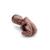 Bacino gravido, in 3 parti, pelle scura- 3B Smart Anatomy, 1024385 [L20D], Modelli Gravidanza (Small)