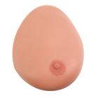 Female Breast Model Lactend From PVC Chest Model for And 