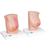 Model of Female Breast with Healthy & Unhealthy Tissue, 1008497 [L56], Women's Health Education (Small)