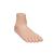 평발 Flat Foot (Pes Planus) Model, 1000355 [M31], 관절 모형 (Small)