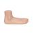 Flat Foot (Pes Planus) Model, 1000355 [M31], Joint Models (Small)