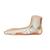 Flat Foot (Pes Planus) Model, 1000355 [M31], Joint Models (Small)