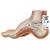 오목발(요족) Hollow Foot (Pes Cavus) Model, 1000356 [M32], 관절 모형 (Small)