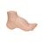 오목발(요족) Hollow Foot (Pes Cavus) Model, 1000356 [M32], 관절 모형 (Small)