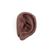 3B Acupuncture Ear, left, dark skin, 1024390 [N15/1LD], Ear Models (Small)