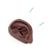 3B Acupuncture Ear, left, dark skin, 1024390 [N15/1LD], Ear Models (Small)