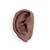 침술 귀모형(오른쪽) Acupuncture Ear, right, dark skin, 1024484 [N15/1RD], 침술 차트 및 모형 (Small)