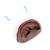 침술 귀모형(오른쪽) Acupuncture Ear, right, dark skin, 1024484 [N15/1RD], 침술 차트 및 모형 (Small)