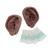 Acupuncture Ears, Set for 10 Students, dark skin, 1024486 [N16D], Acupuncture Charts and Models (Small)