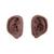 Acupuncture Ears, Set for 10 Students, dark skin, 1024486 [N16D], Ear Models (Small)