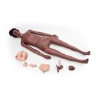 3B Scientific® Maniquí de cuidados PRO Dark, 1023316 [P10/1D], Cuidado del paciente adulto